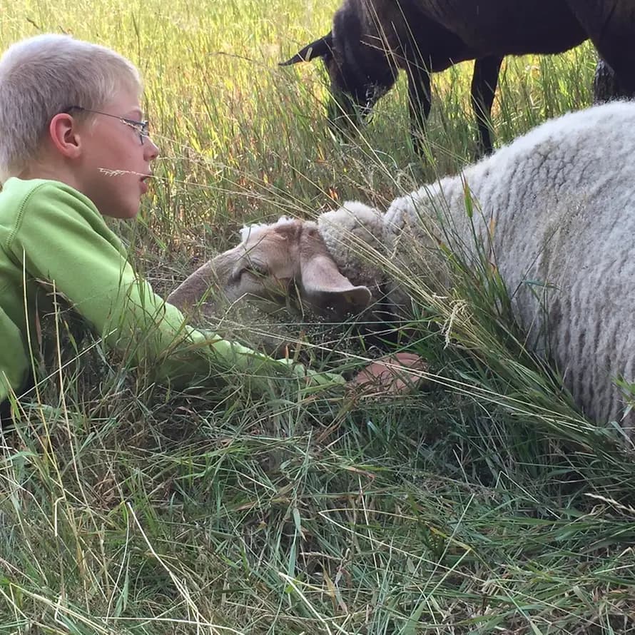 87178_KD_Worpswede_Tiergestuetzte Foerderung_TGP KD Worpswede_13.jpg 87178_KD_Worpswede_Tiergestuetzte Foerderung_TGP KD Worpswede_13.jpg