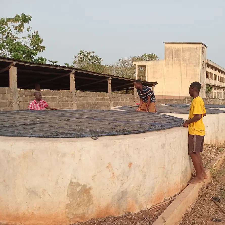 93310_SOS-KD_Benin_Natitingou_Closed cubes Abomey-Calavi Die Jugendlichen lernen beim Projekt Verantwortung zu übernehmen und sich eigenständig um die Tiere zu kümmern.