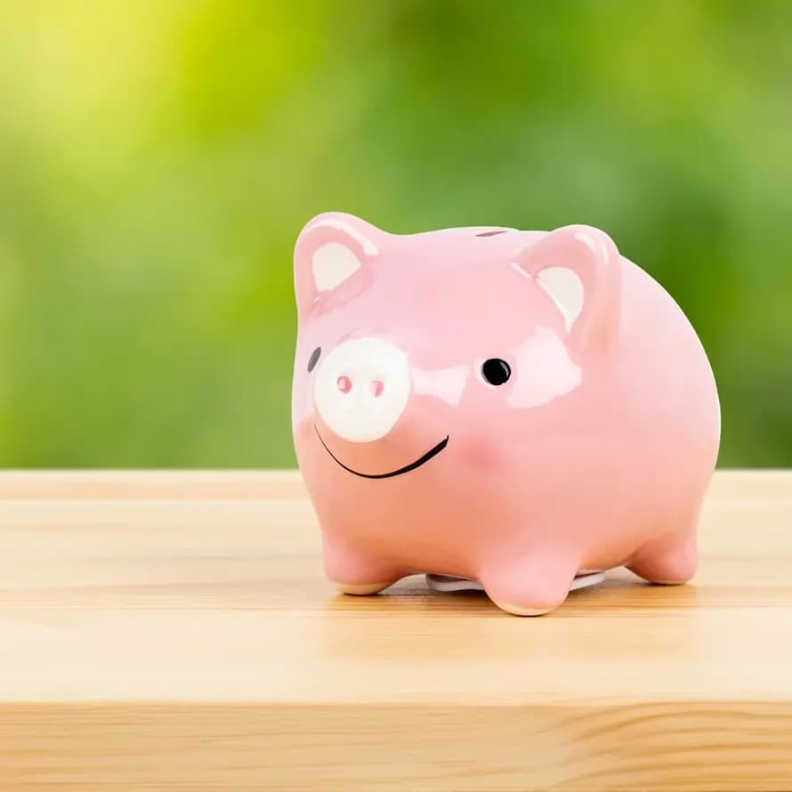 SOS-KD-KL_Sparschwein_Finanzierung.jpg SOS-KD-KL_Sparschwein_Finanzierung.jpg