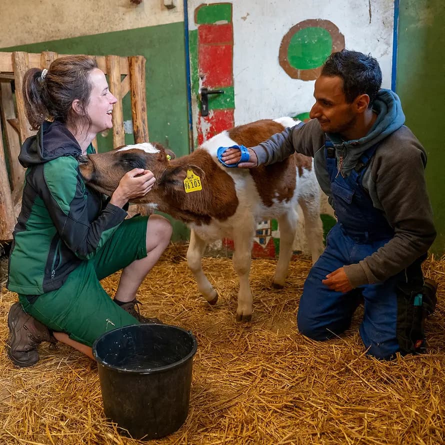 Landwirtschaft Hof Bockum Landwirtschaft Hof Bockum