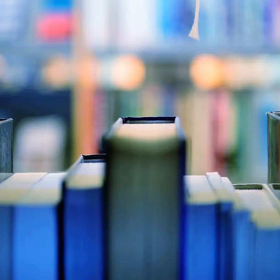 Bücherregale PÄDAGOGIK_Sozialpädagogisches Institut_Übersicht