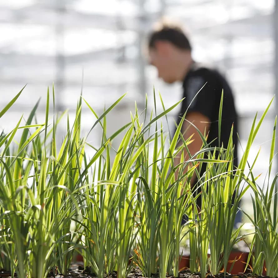 jetzt 8351 Ausbildung im Garten- und Landschaftsbau im SOS-Kinderdorf Berlin
