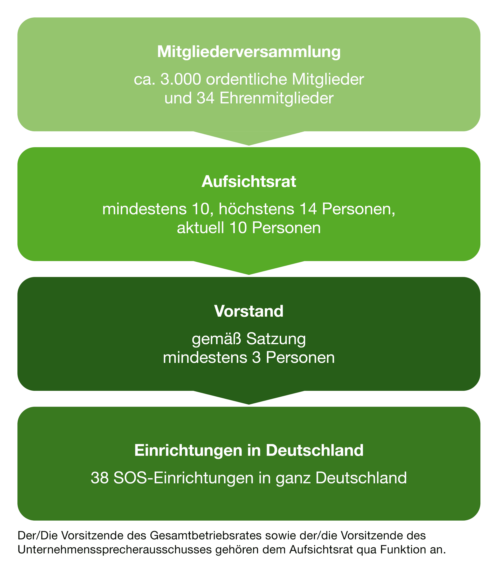 Die Struktur des SOS-Kinderdorf-Vereins