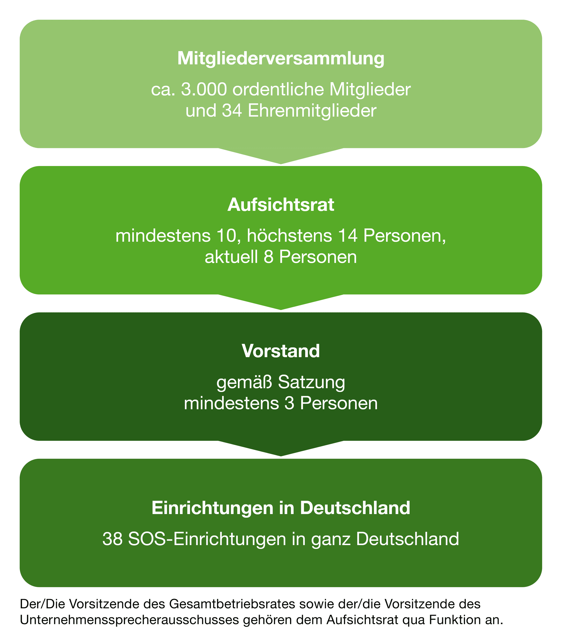 Die Struktur des SOS-Kinderdorf-Vereins