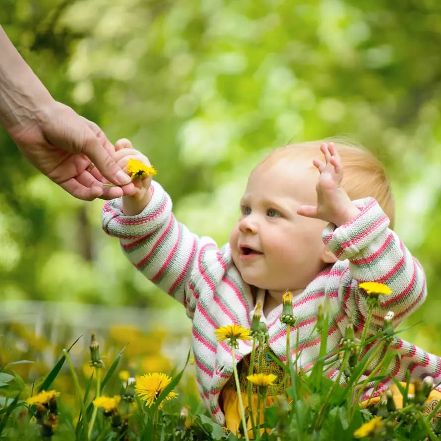 26748_shutterstock_luckyraccoon_81713935_bearbeitet.jpg Frühe Hilfen