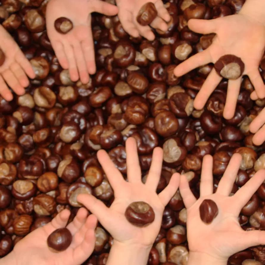 Header_01 Header_01